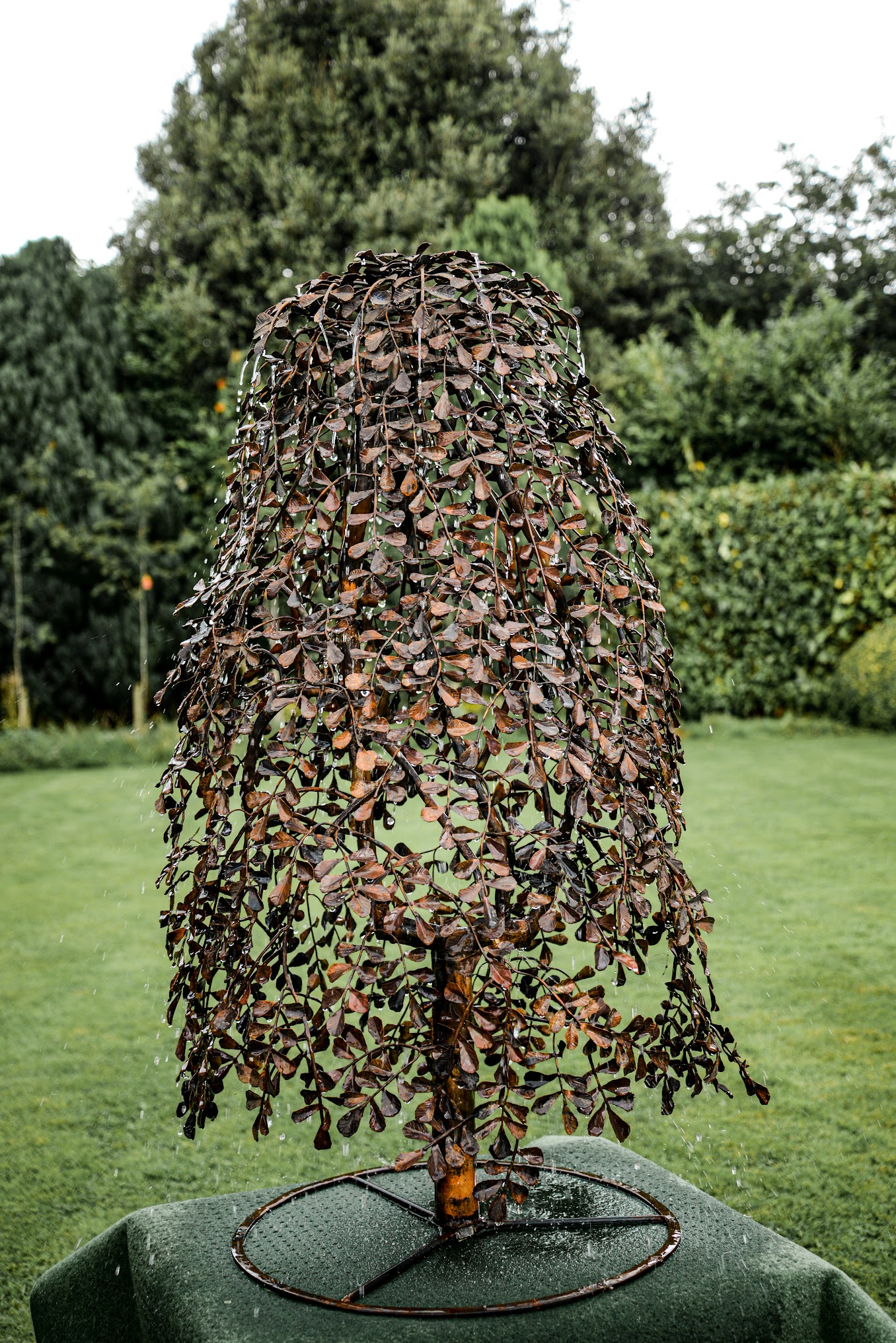 Profile picture of Pat Murray